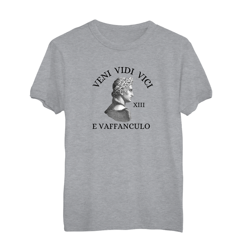 Herren T-Shirt Veni, Vidi, Vici....